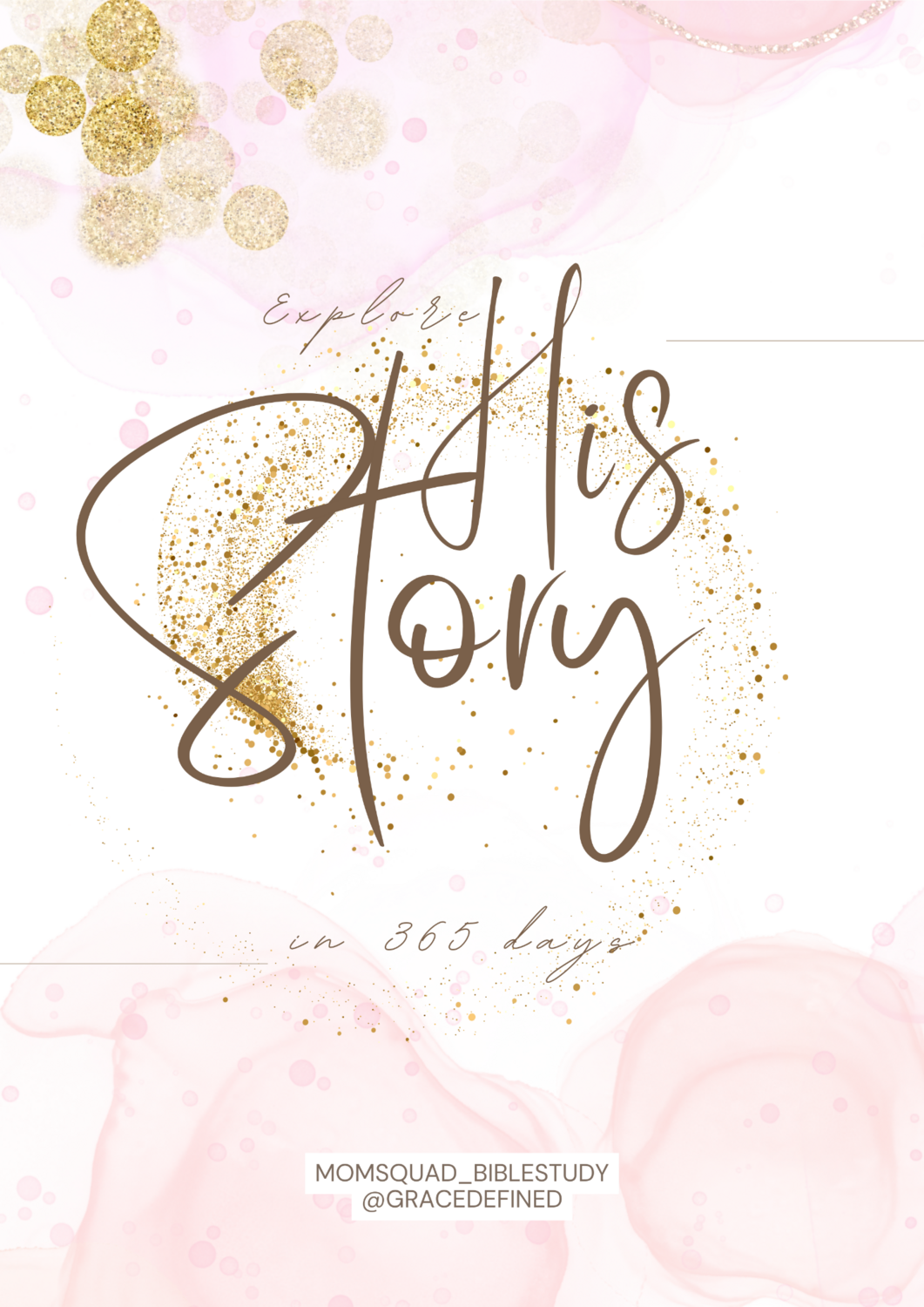 1 YEAR BIBLE READING PLAN SELF PRINT