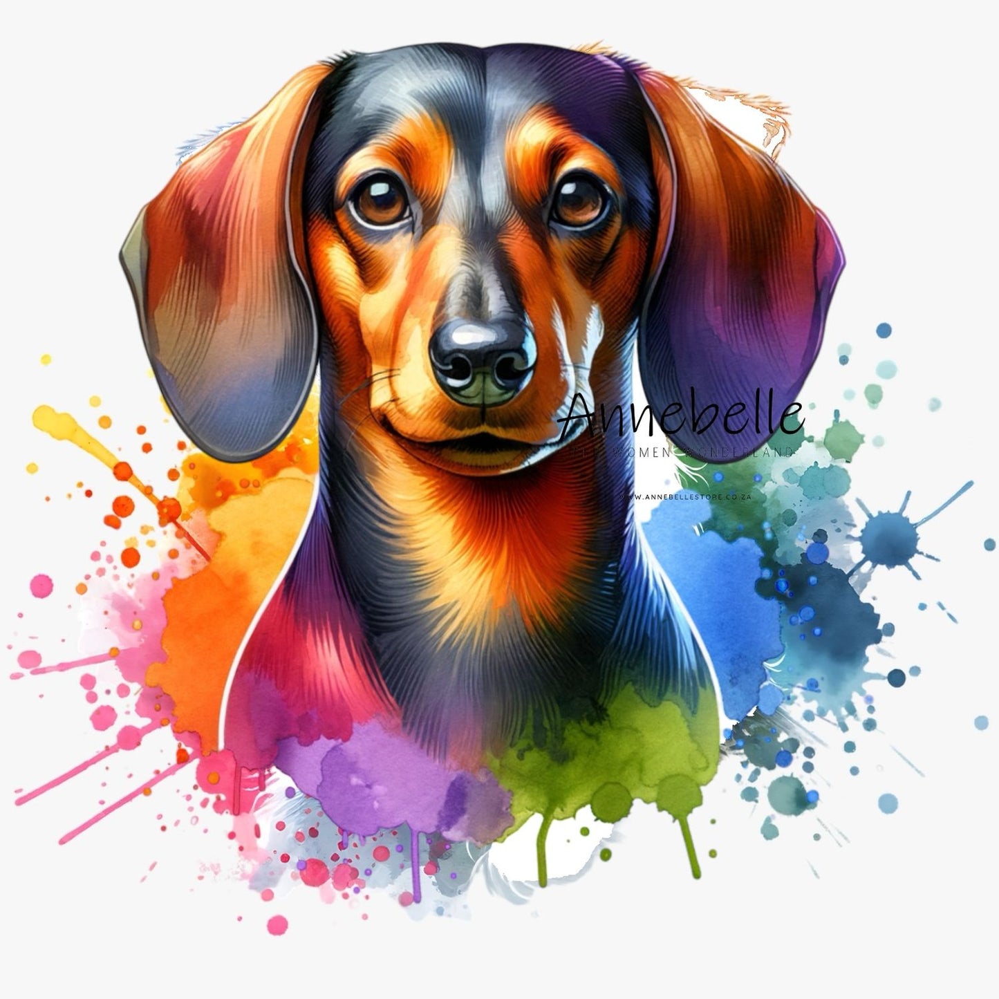 Dachshund