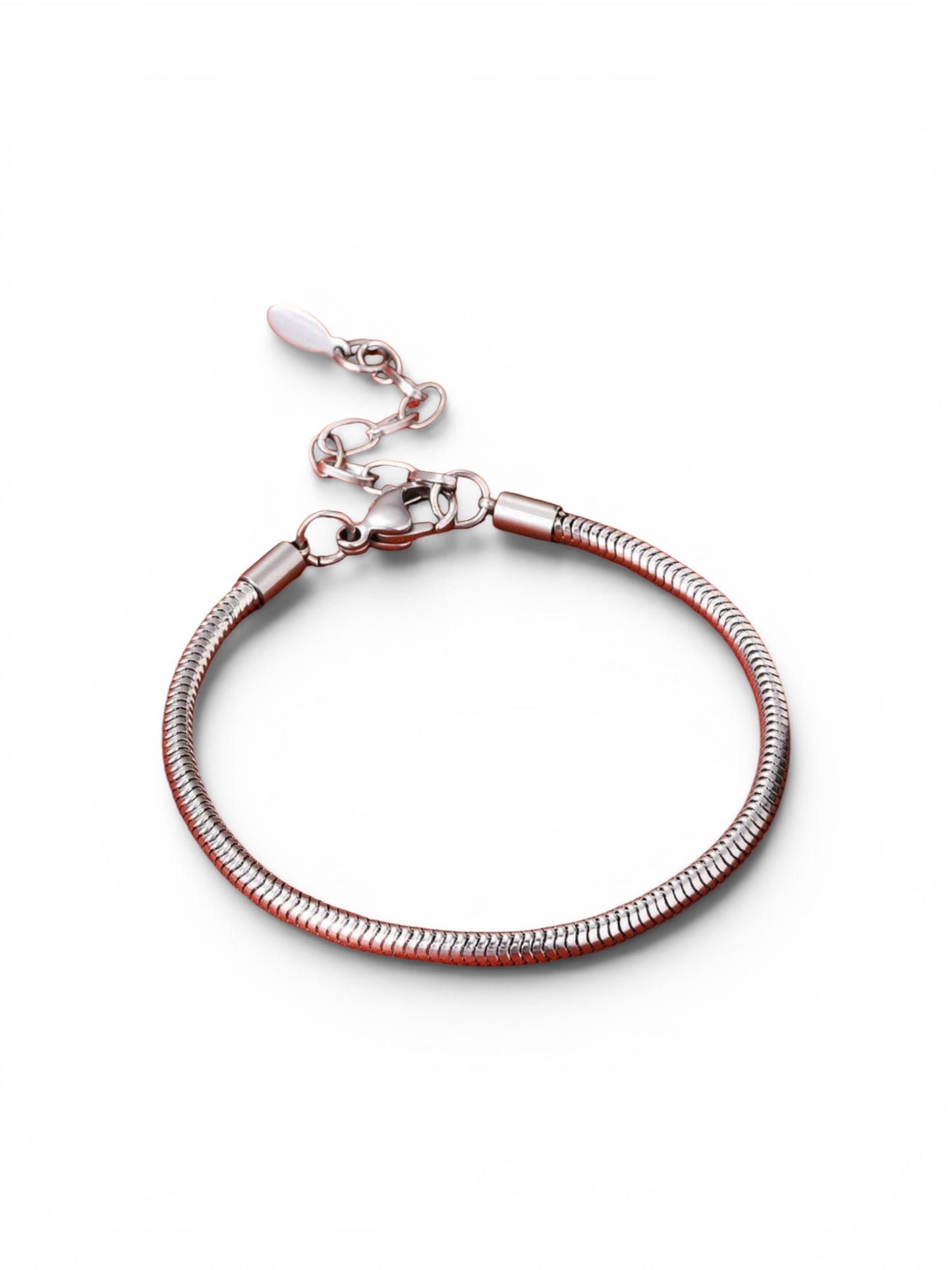 Stainless Steel Bracelet for Bible Verse SS Charms